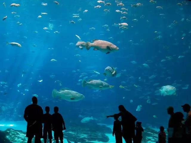 暑假适合带孩子旅游的地方