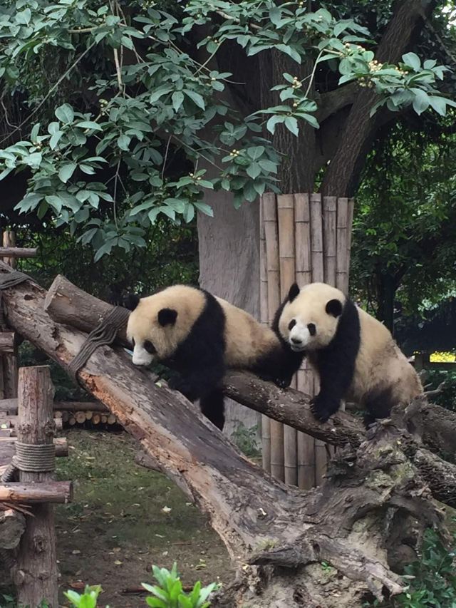 暑假适合带孩子旅游的地方