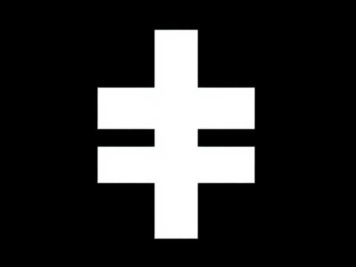 独家视频丨哈萨克斯坦战机为习近平主席专机护航