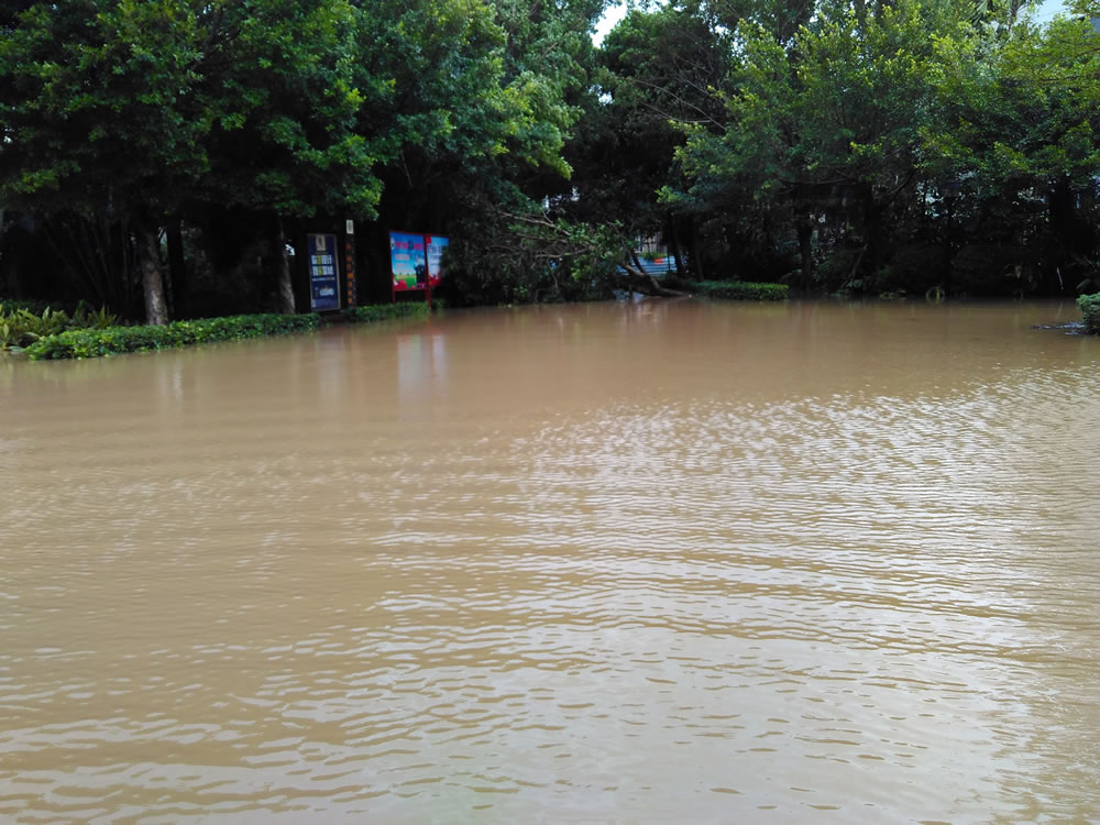 洪水