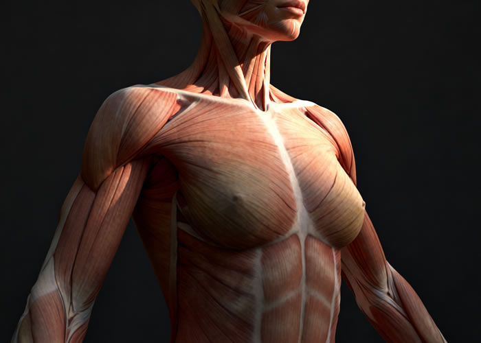 乳腺囊性增生症